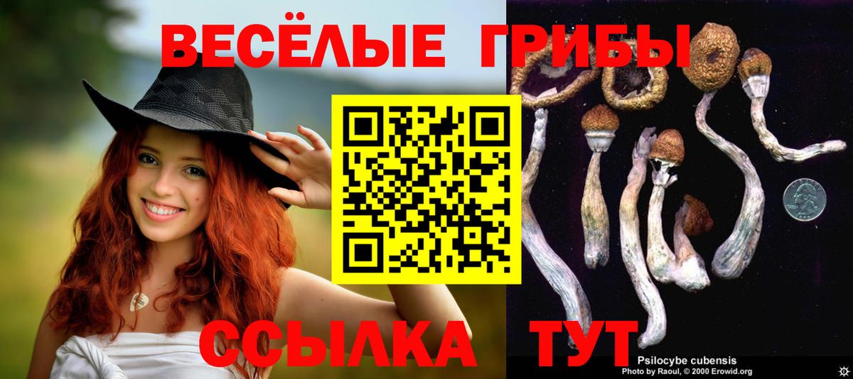 Галлюциногенные грибы прущие грибы Мирный